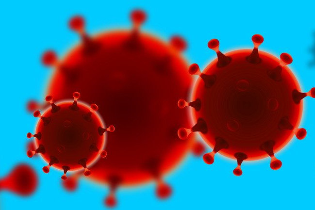 Coronavirus: Illustration des Virus
