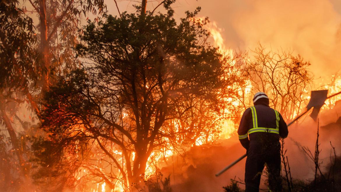 Waldbrand im Urlaubsgebiet