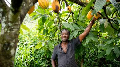 Kakaobauer auf Plantage