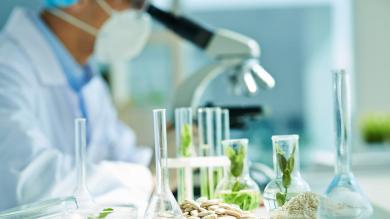 Gentechnik: Labor mit Reagenzgläsern, Pflanzen und Mikroskop