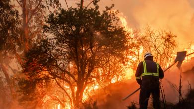 Waldbrand im Urlaubsgebiet