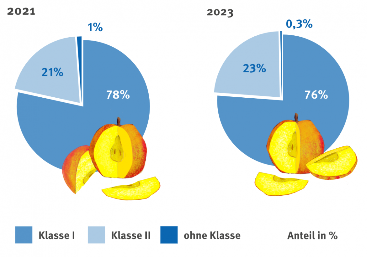 Lebensmittelverschwendung: Äpfel im Verkauf nach Klassen 2021 und 2023 (2023)