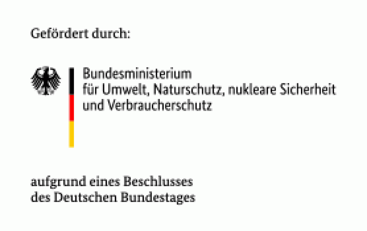 Logo mit Förderhinweis: Bundesministerium für Umwelt, Naturschutz, nukleare Sicherheit und Verbraucherschutz (BMUV)