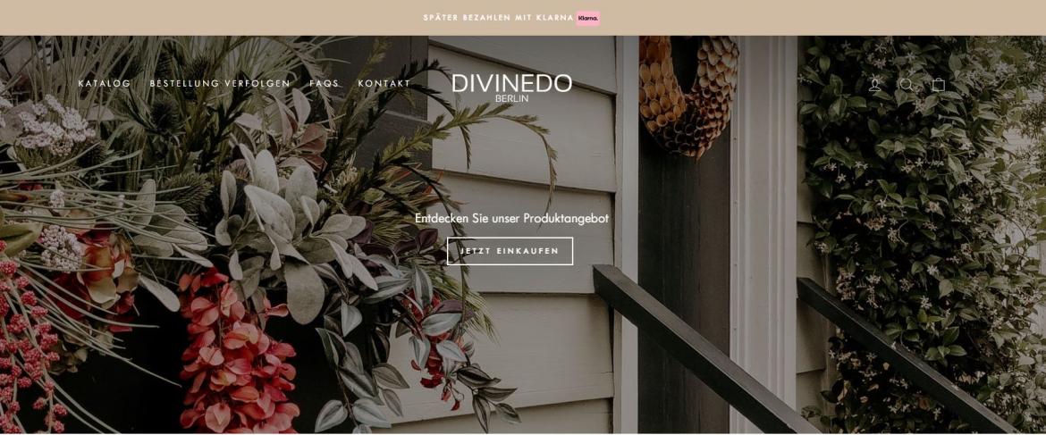 China-Shop: divinedo.de (2024)