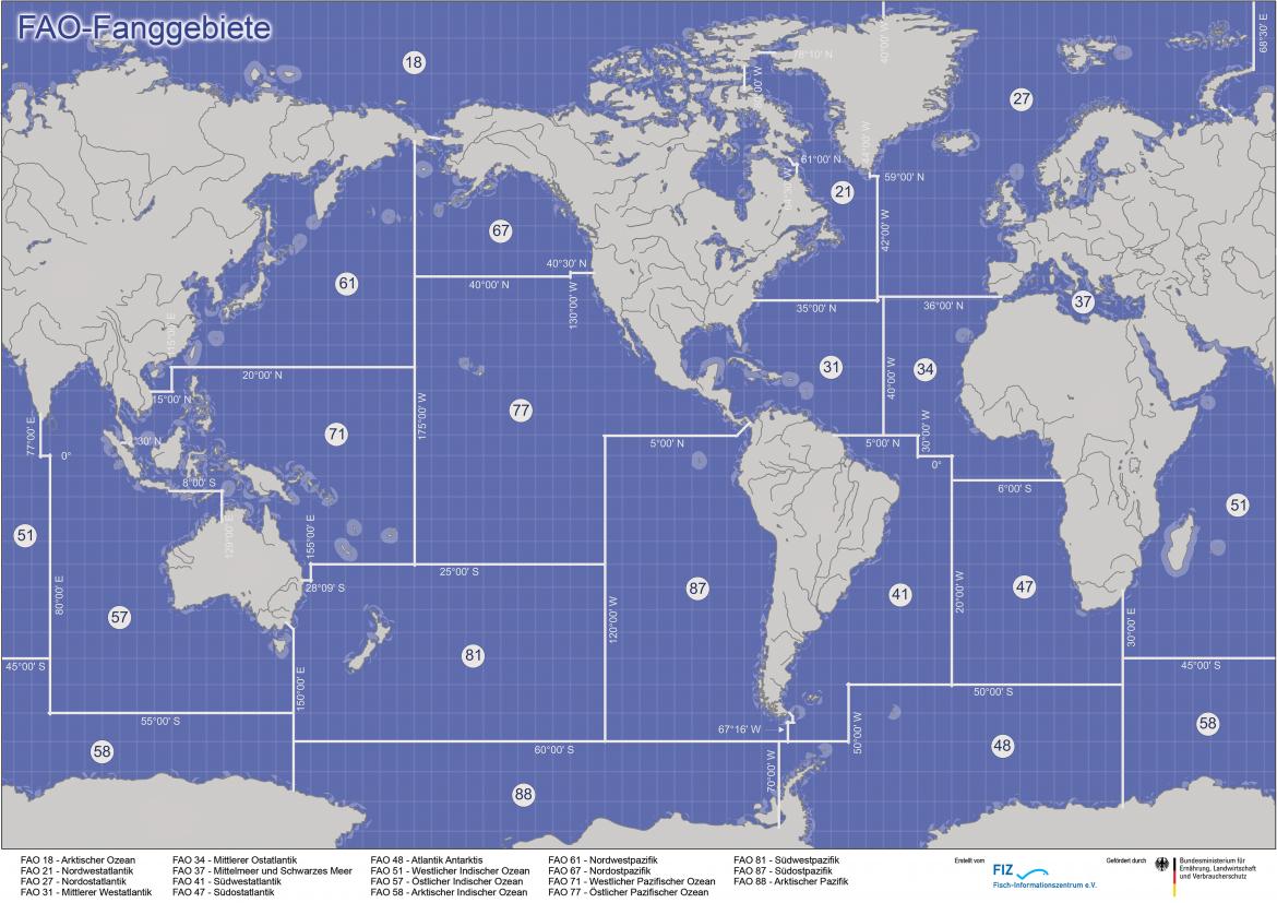 Fisch: FAO-Fanggebiete der Weltmeere