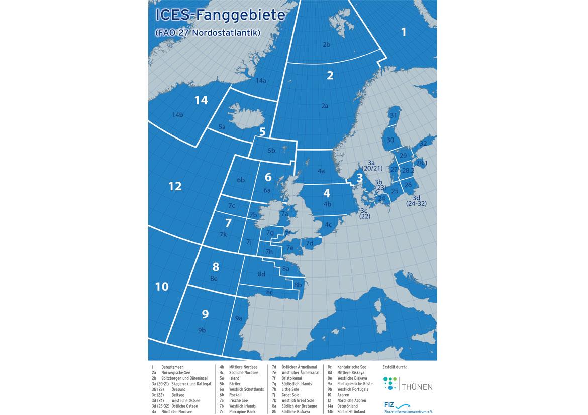 Fisch partnervermittlung