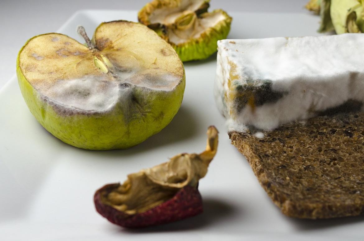 Verdorbene Lebensmittel Mussen Sie Nicht Schlucken