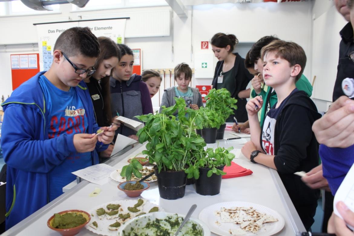 Schüler machen Pesto