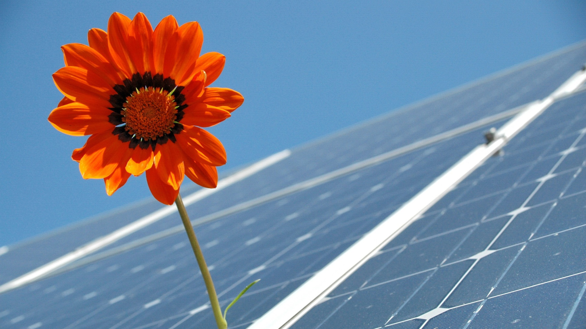 Solarplatte mit Blume