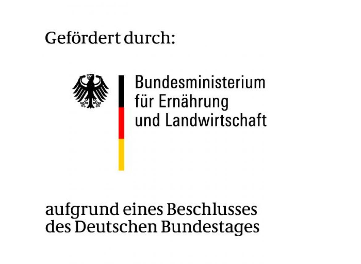 Logo mit Förderhinweis: Bundesministerium für Ernährung und Landwirtschaft (BMEL)