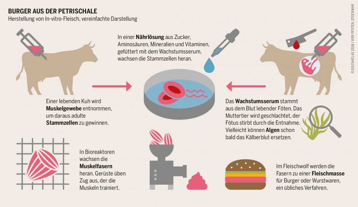Burger aus der Petrischale