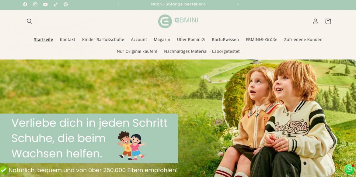 China-Shop: ebmini.de (2025)