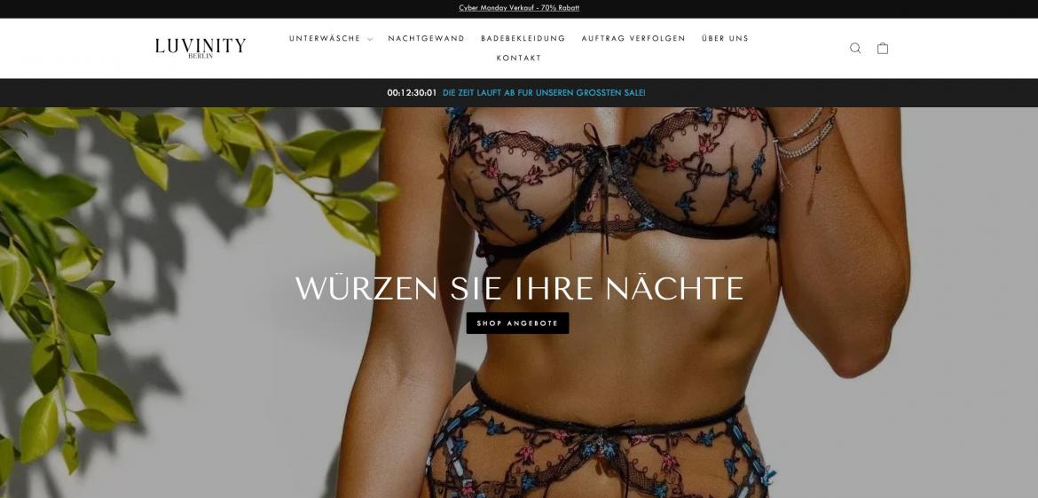 China-Shop: luvinity-berlin.de (2024)