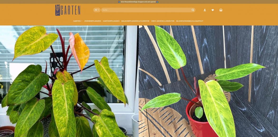 Fake-Shop: gartensgeschaft.com (2024)