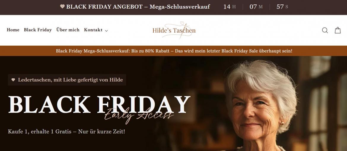 Fake-Shop: hilde-taschen.de (2024)