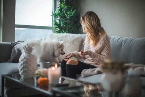 Frau füttert Hund auf Sofa