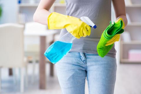 Frau beim Hausputz mit Sprühflasche und Lappen in der Hand