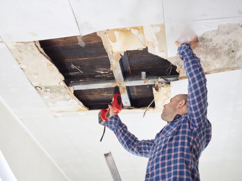 Mann öffnet kaputte Decke mit Schimmel