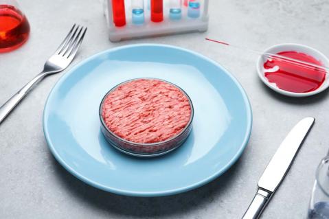 Laborfleisch in Petri-Schale