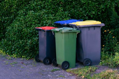 Vier Mülltonnen stehen an einer Hecke