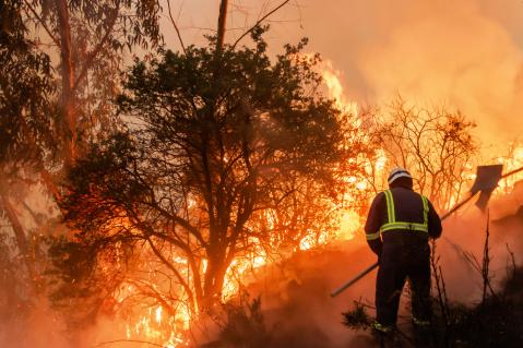 Waldbrand im Urlaubsgebiet