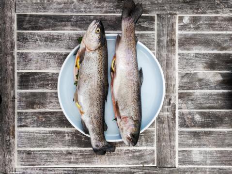 Zwei Fische auf Teller