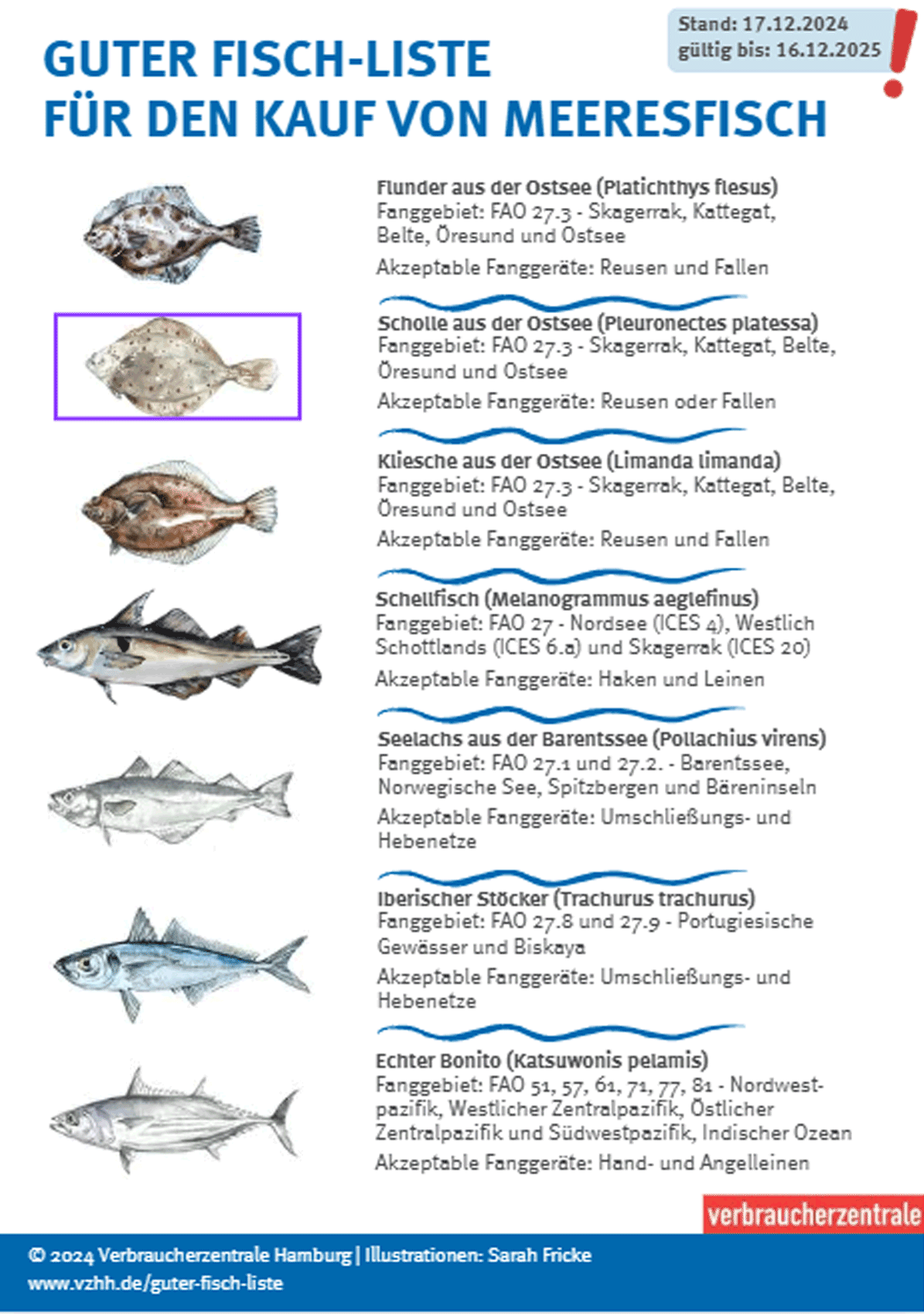 Fisch: Titelbild der Guter Fisch-Liste für den Kauf von Meeresfisch (2024/2025)