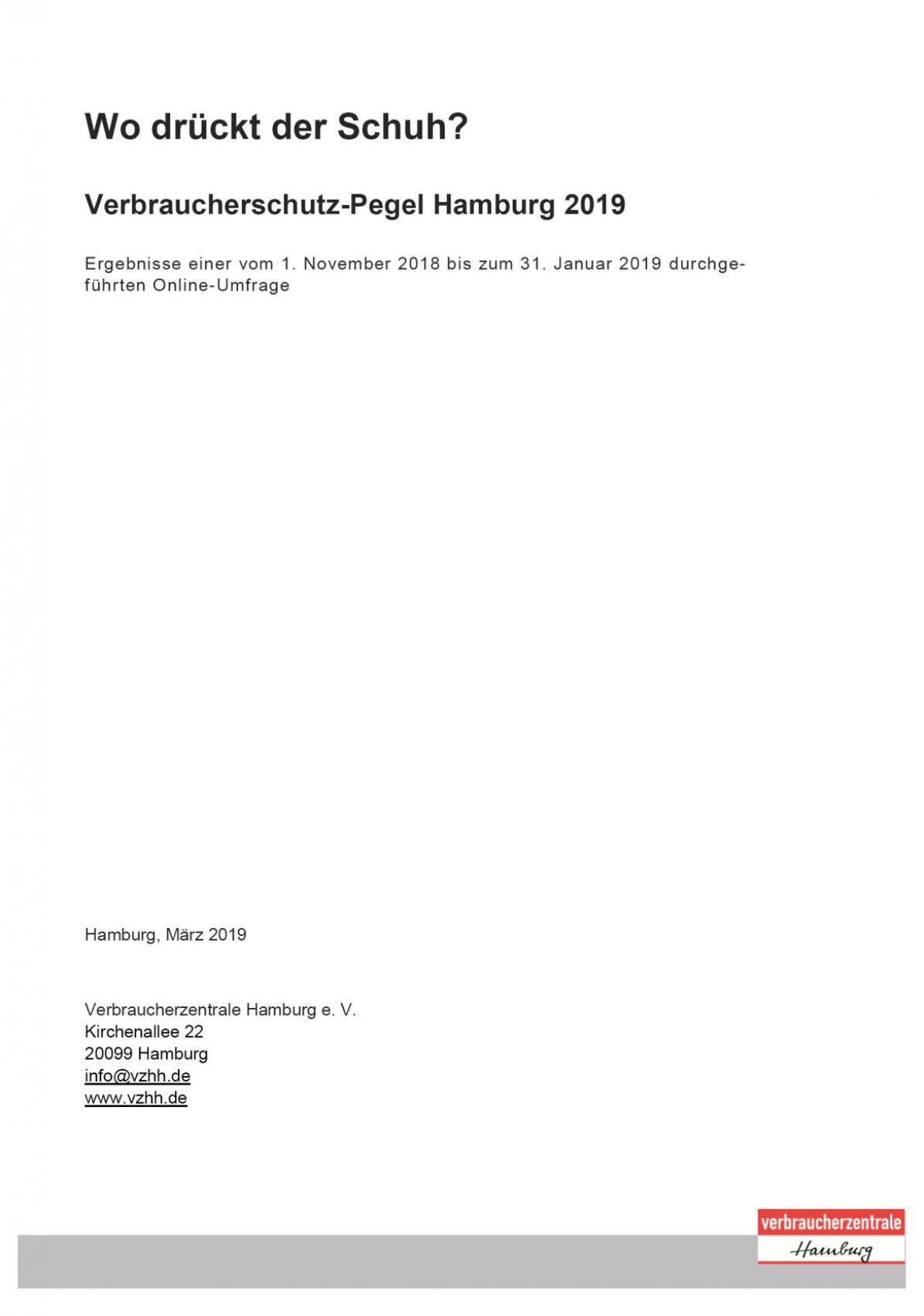 Verbraucherschutz-Pegel 2018/2019: Titelblatt des Berichts zur Online-Umfrage